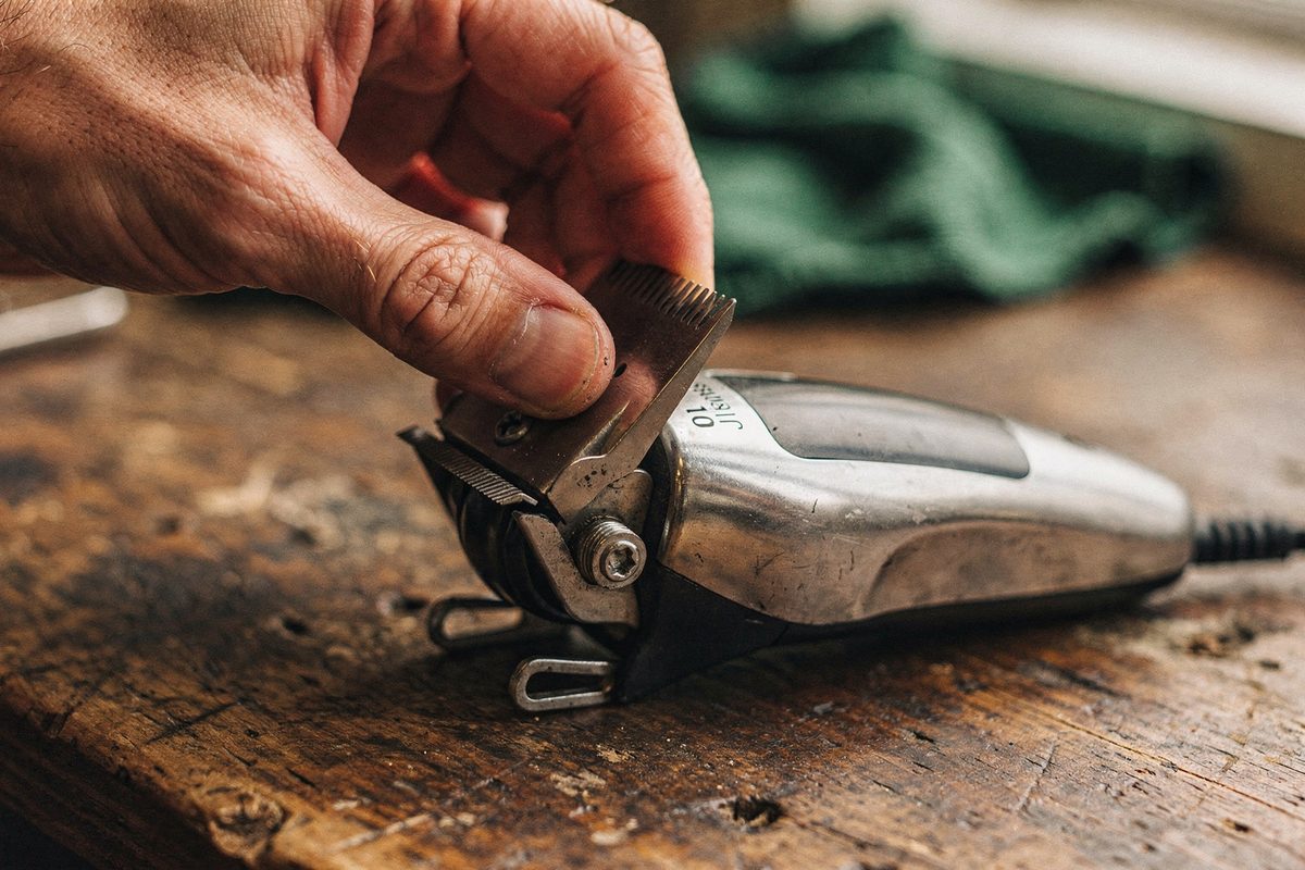 Size 10 snap-on clipper blade being fitted onto a grooming clipper